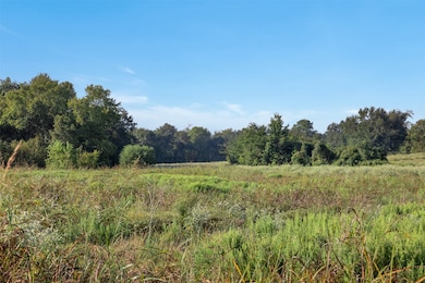 Lot 2 Brown College Ln, Washington, TX 77880 - photo 3