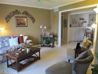 2 Oliver Ct, Downs, IL 61736 - photo 5