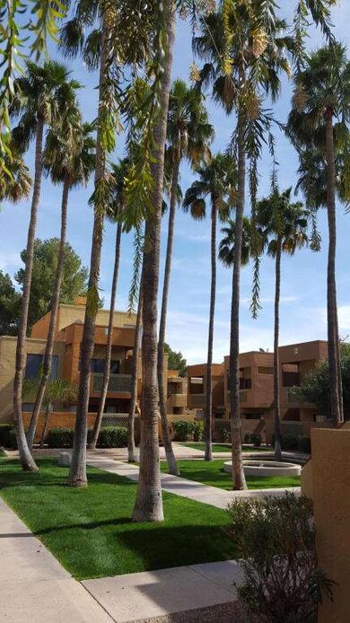 AHHHH PALM TREES