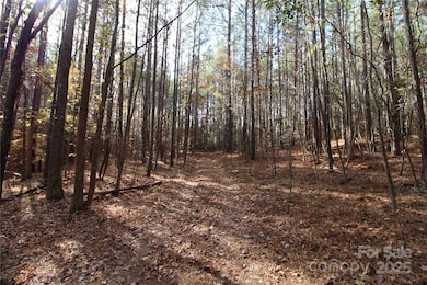 6+/-AC Bookout Rd, Rock Hill, SC 29730 - photo 2
