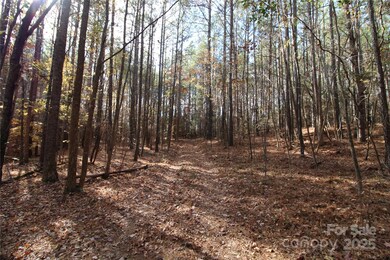 Lot 1 6+/-AC Bookout Rd, Rock Hill, SC 29730 - photo 2