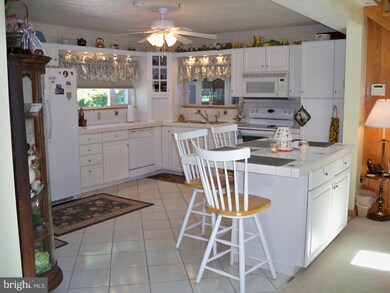 40 Trout Ln, Cabins, WV 26855 - photo 3