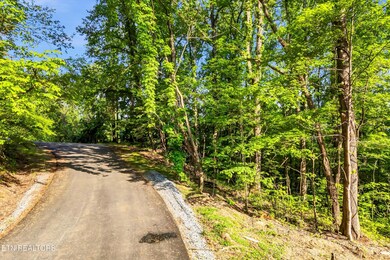 Lot 27 Sugar Maple Loop Rd, Sevierville, TN 37862 - photo 2