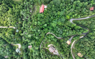 3AC Walkabout Creek Rd, Morganton, GA 30560 - photo 7