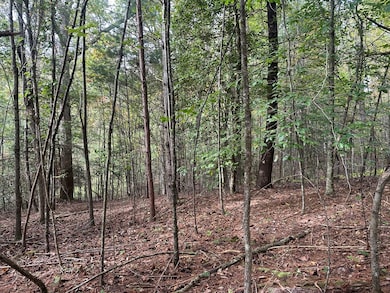 Lot 14 Pine Grove Dr, Epworth, GA 30541 - photo 4