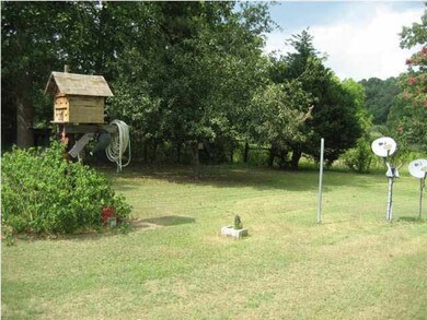 back yard view