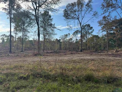 Lot 5 TBD County Road 4108, Henderson, TX 75654 - photo 7