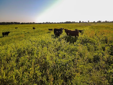 000 Cr Nn, Sheldon, MO 64784 - photo 7