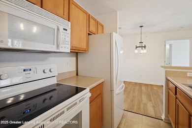 12948 Townsend Dr unit 611, Grand Ledge, MI 48837 - photo 5