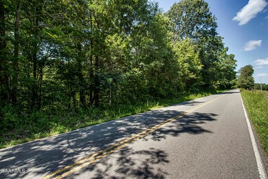 03_SNoponeValleyRoad_Road_N-NE