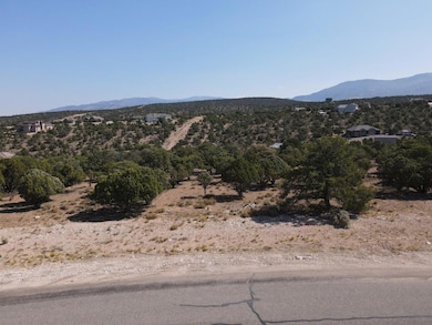 1095 S Panorama Dr, Cedar City, UT 84720 - photo 5