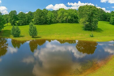 1047 County Road 4452, Bivins, TX 75555 - photo 2