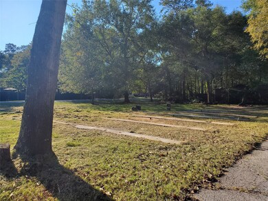 29703 Midland St, Magnolia, TX 77354 - photo 6