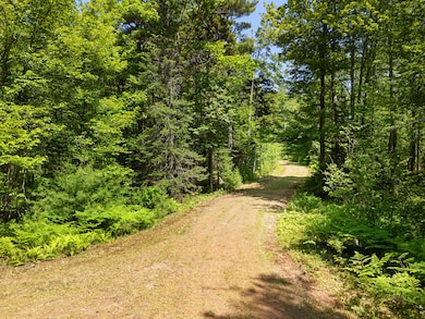 Part of Map 26 Lot 46 & 48 Mullins Bog Rd, Lincolnville, ME 04849 - photo 7