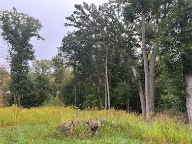 3055 Forrest Hill Ct, Hiawatha, IA 52233 - photo 2