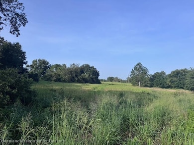 7710 Lake Buffum Rd N, Fort Meade, FL 33841 - photo 3