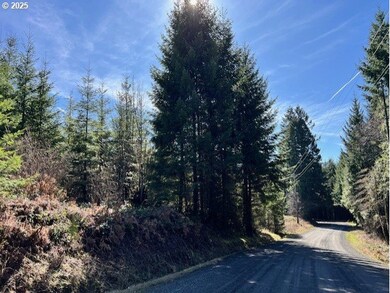 0 John Lee Rd, Buxton, OR 97109 - photo 4