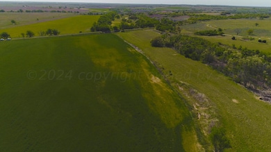 DJI_0290