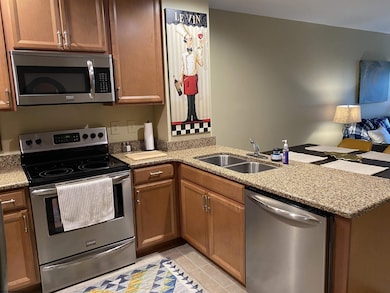 31 Ash Lodge Ct, Davis, WV 26260 - photo 6