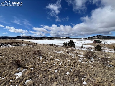 11893 Colorado 67, Divide, CO 80814 - photo 4