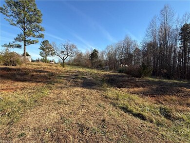 000 Mulberry Academy St, Franklinville, NC 27248 - photo 5