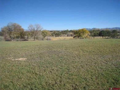 0 Road N 8 Loop unit 764275, Cortez, CO 81321 - photo 3