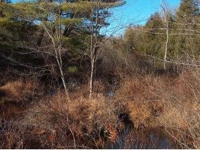 0 Old Westport Rd unit 4432711, Winchester, NH 03470 - photo 3