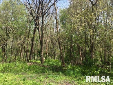 1840 W 48th St, Davenport, IA 52806 - photo 6