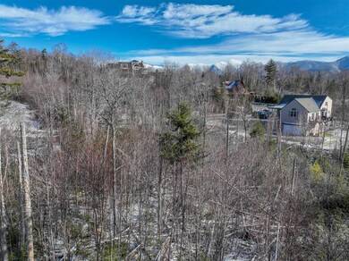 00 Hartford Ln unit 17, Carroll, NH 03583 - photo 3