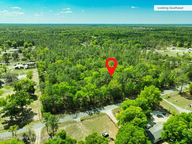 0 SW 95th St unit 2231203, Dunnellon, FL 34431 - photo 2