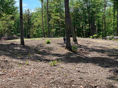 0 Jack Russell Rd unit 45-3 4913706, Ossipee, NH 03882 - photo 6