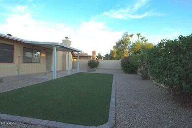 Backyard]