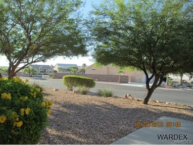 Shade trees in front yard