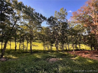 195 Oakmont Ave, Lake Ozark, MO 65049 - photo 5