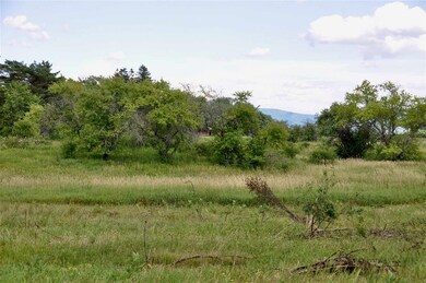 TBD N Bingham St unit 2, Cornwall, VT 05753 - photo 4