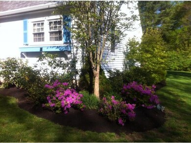 Front view when all in bloom