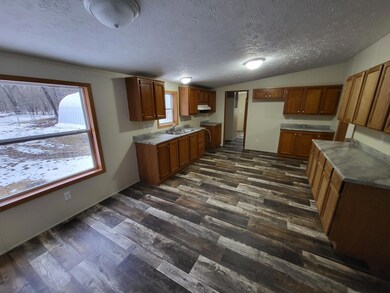 1793 Beaver Rd, Bitely, MI 49309 - photo 3