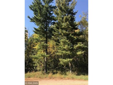 Beautiful pines