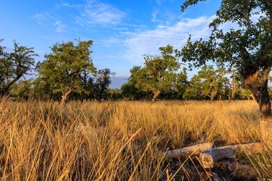 6690 Ranch Road 965, Fredericksburg, TX 78624 - photo 6