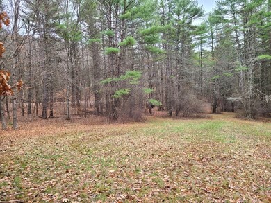 0 Rte 9 & Poor Rd unit 4838905, Chesterfield, NH 03466 - photo 5