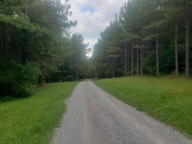 15 Acres Thomas Springs Rd, Crossville, TN 38572 - photo 2
