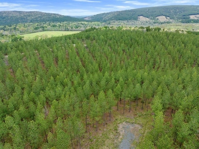 10 Three Waters St, Honobia, OK 74957 - photo 3