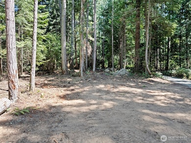 View from west side of building site