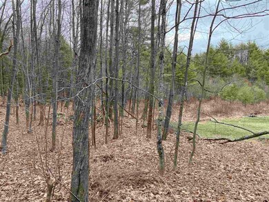 793 Texas Hill Rd, Plymouth, NH 03264 - photo 3