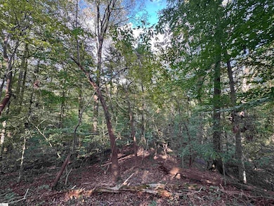 499 Acker Rd, Anderson, SC 29624 - photo 7