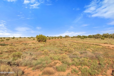 871 N Northland Rd unit D, Williams, AZ 86046 - photo 7