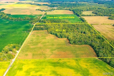 TBB Ayers Rd, Greenville, IL 62246 - photo 4