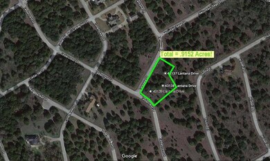 43138 Lantana Dr, Whitney, TX 76692 - photo 2