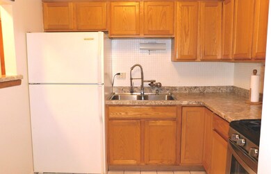 Shibui Condominium unit 107, Oak Lawn, IL 60453 - photo 7