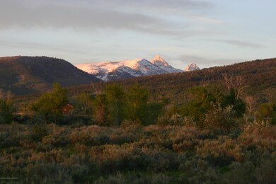 IMG_8556